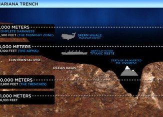 Mariana Trench was once thought to be too hostile an environment for life to exist