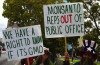 President Barack Obama has signed the so-called Monsanto Protection Act bill into law