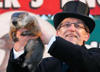Punxsutawney Phil forecast an early spring for 2013 when he did not see his shadow as he emerged from hibernation on February 2