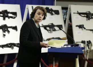 Senator Dianne Feinstein said she might put forward the assault weapons proposal, similar to a previous one she sponsored that expired in 2004, as an amendment to the bill