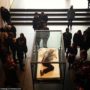 Tilda Swinton sleeping in a glass box at MoMA in New York
