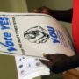Zimbabwe voting in new constitution referendum