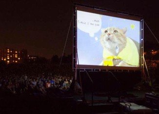 A second edition of the Internet Cat Video Festival, dedicated to celebrating internet videos of cats, is due to take place in Minnesota in August 2013