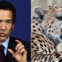 Cheetah scratches Botswana President Ian Khama on his face