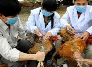 China is increasing efforts to contain the spread of a new strain of bird flu which has killed six people in the country