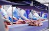 Dutch authorities have found that 50,000 tonnes of meat supplied by two local trading companies and sold as beef across Europe since January 2011 may have contained horsemeat