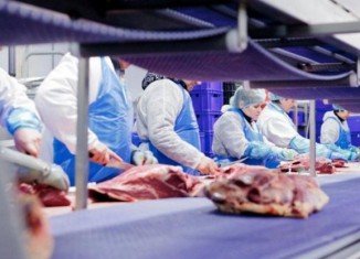 Dutch authorities have found that 50,000 tonnes of meat supplied by two local trading companies and sold as beef across Europe since January 2011 may have contained horsemeat