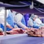Dutch uncover 50,000 tonne horsemeat fraud