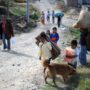 IDMC: Colombia tops internally displaced people list in 2012