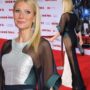 Gwyneth Paltrow in entirely sheer side panels dress and no underwear at Iron Man 3 premiere