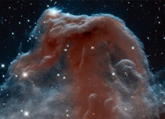 Horsehead Nebula is a distinctively shaped molecular gas cloud sited some 1,300 light-years from Earth in the Constellation Orion