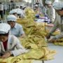 North Korea halts work at Kaesong Industrial Complex