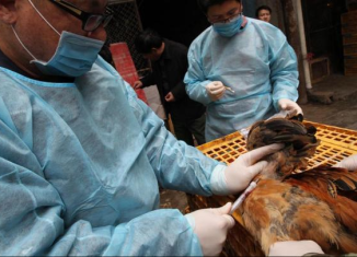Shanghai poultry markets have been temporary closed by authorities due to the H7N9 bird flu outbreak