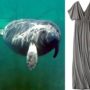 Manatee Gray: Target apologizes for plus-size dress label
