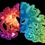 Alzheimer’s genetic markers identified