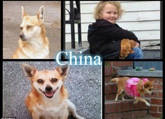 Honey Boo Boo and her late dog China