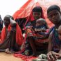 Somalia famine killed 260,000 people from 2010 to 2012