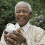 Nelson Mandela close to death: Archbishop Thabo Makgoba prays for his peaceful end