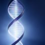 Human DNA Patents Banned by US Supreme Court