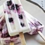 Recipe: Blueberry and yoghurt ice lollies