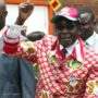 Zimbabwe election result: Robert Mugabe wins parliamentary majority