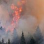 Rim Fire: California emergency as Yosemite Park wildfire rages
