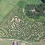 Si Robertson features corn maze near Loganville