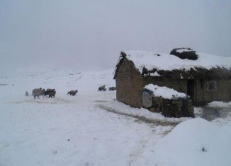 Tens of thousands of animals have frozen to death in Peru over the past week