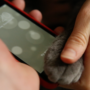 iPhone 5S: How a cat’s paw is registered as one of five safe Touch ID profiles