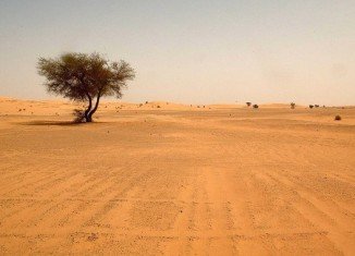 About 80,000 migrants cross the Sahara desert through Niger