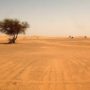 Niger: Bodies of 87 Sahara migrants found near Algerian border