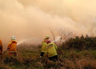 Australian fire fighters deliberately joined up two large fires near the Blue Mountains as part of efforts to control bushfires across New South Wales