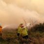 Australia bushfires rage out of control near Sydney
