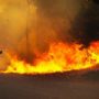 Australia bushfires: New South Wales Premier Barry O’Farrell declares state of emergency