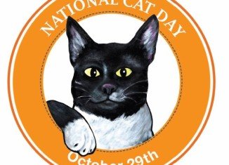 National Cat Day is a public holiday celebrating cats and encouraging adoption rather than buying from pet stores