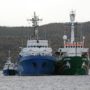 Drugs found on Greenpeace Arctic Sunrise ship, Russian investigator claim