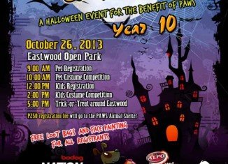 Scaredy Cats and Dogs 2013