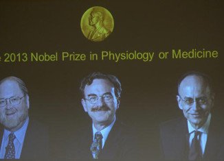 The Nobel Prize in Physiology or Medicine 2013 was awarded jointly to James E. Rothman, Randy W. Schekman and Thomas C. Südhof