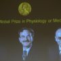 Nobel Prize in Physiology or Medicine 2013 awarded to James Rothman, Randy Schekman and Thomas Südhof