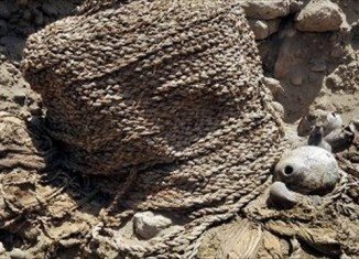 Two mummies more than 1,000 years old have been found by archaeologists in a suburb of Lima