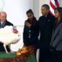 White House Turkey Pardon 2013: Barack Obama pardons Caramel and Popcorn on Thanksgiving eve