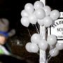 Sandy Hook shooting report to be released