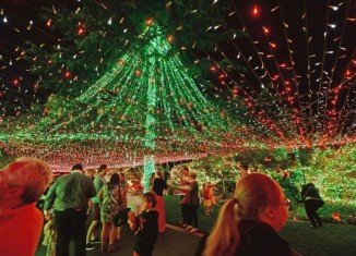 David Richards and his family have put up 502,165 Christmas lights around their home in Canberra, setting a new world record