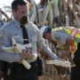 Seized ivory crushed at National Wildlife Property Repository in Colorado