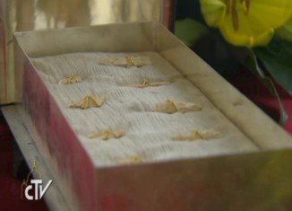 Pope Francis has decided to put on public display nine tiny fragments of bone which may belong to St Peter, the world's first Pope