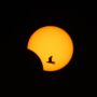 Hybrid Solar Eclipse 2013: Rare celestial event visible from US, Europe and Africa