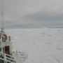Akademik Shokalskiy ship trapped in Antarctic ice close to be rescued by Chinese icebreaker