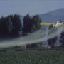 Parkinson’s disease linked to common pesticides
