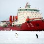 Akademik Shokalskiy rescue ship Xue Long stuck in ice