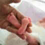 Premature birth may be caused by specific bacteria